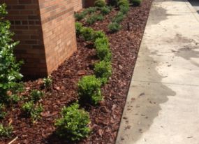 Landscaping Lakeland FL